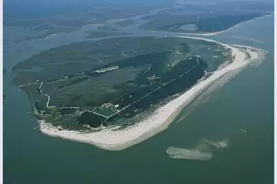 284 Pelican Flight Drive, Dewees Island, SC 29451 - Photo 8