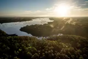 3885 Summerton St, Mount Pleasant, SC 29466 - Photo 8