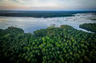 3890 Summerton St, Mount Pleasant, SC 29466 - Photo 14