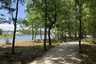 3890 Summerton St, Mount Pleasant, SC 29466 - Photo 12