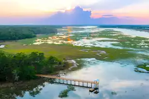 3890 Summerton St, Mount Pleasant, SC 29466 - Photo 4