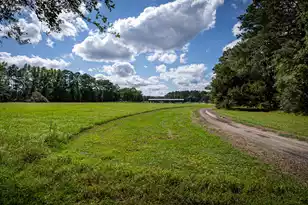 0 Tuten Rd, Round O, SC 29474 - Photo 20