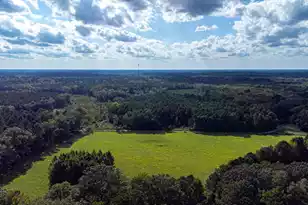 0 Tuten Rd, Round O, SC 29474 - Photo 36