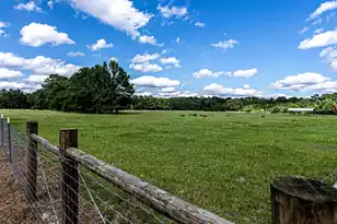 0 Tuten Rd, Round O, SC 29474 - Photo 26