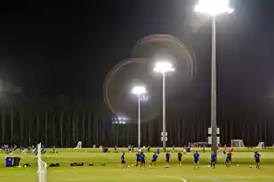 3881 Summerton St, Mount Pleasant, SC 29466 - Photo 24