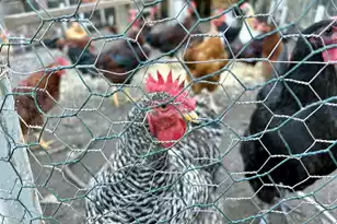 114 Hollow Point Ln, Cottageville, SC 29435 - Photo 2