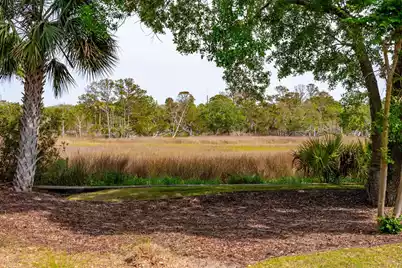 8 Seagrass Lane, Isle Of Palms, SC 29451 - Photo 66
