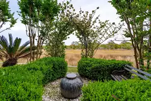 8 Seagrass Ln, Isle Of Palms, SC 29451 - Photo 64