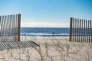 1579 Ashley Ave E, Folly Beach, SC 29439 - Photo 8