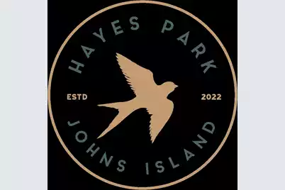 524 Hayes Park Boulevard #Lot 3, Johns Island, SC 29455 - Photo 1