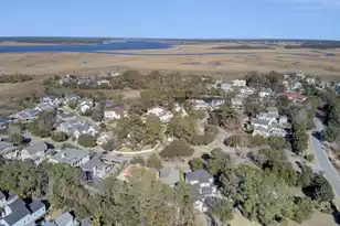 368 Evian Way, Mount Pleasant, SC 29464 - Photo 58