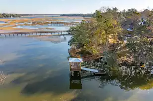 3917 Delinger Dr, Mount Pleasant, SC 29466 - Photo 84