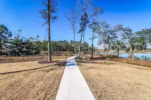 3917 Delinger Dr, Mount Pleasant, SC 29466 - Photo 50