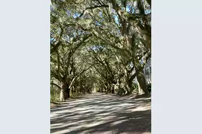 60 Fenwick Hall Alley #313, Johns Island, SC 29455 - Photo 1