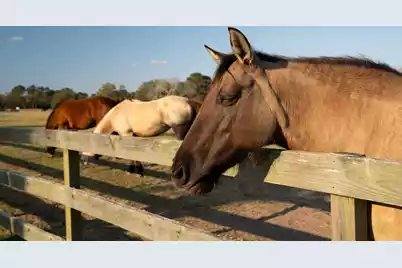 2455 The Haul Over, Seabrook Island, SC 29455 - Photo 76
