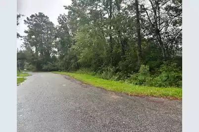 0 Old Hertz Road, North Charleston, SC 29418 - Photo 1