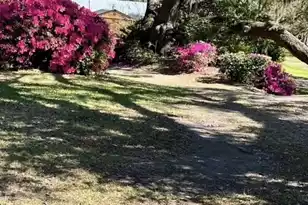 185 Wappoo Rd, Charleston, SC 29407 - Photo 12