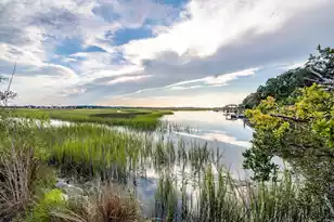 185 Wappoo Rd, Charleston, SC 29407 - Photo 16