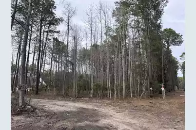 536 Bertha Lane, Huger, SC 29450 - Photo 6