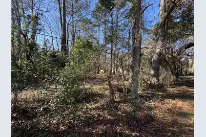 2044 River Road, Johns Island, SC 29455 - Photo 4