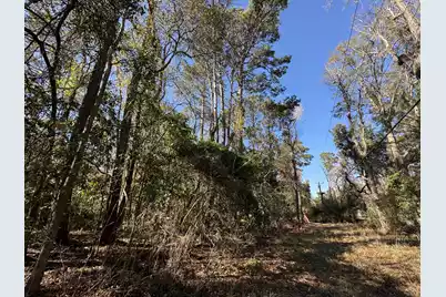 2040 2044 River Road, Johns Island, SC 29455 - Photo 8