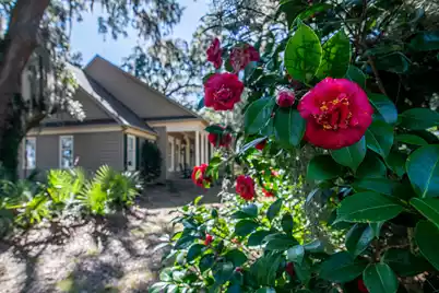 762 Wraggs Ferry Road, Georgetown, SC 29440 - Photo 34