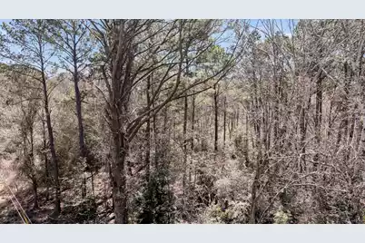 7887 Mary Seabrook Road, Edisto Island, SC 29438 - Photo 2