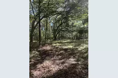 7887 Mary Seabrook Road, Edisto Island, SC 29438 - Photo 38