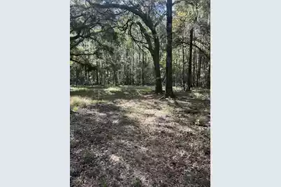 7887 Mary Seabrook Road, Edisto Island, SC 29438 - Photo 32