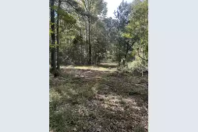 7887 Mary Seabrook Road, Edisto Island, SC 29438 - Photo 44