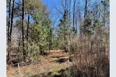 7887 Mary Seabrook Road, Edisto Island, SC 29438 - Photo 6