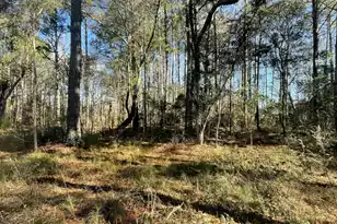 00 Hwy 17 N, McClellanville, SC 29458 - Photo 24