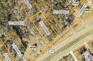 00 Hwy 17 N, McClellanville, SC 29458 - Photo 18