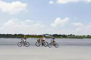 1614 Live Oak Park, Seabrook Island, SC 29455 - Photo 100