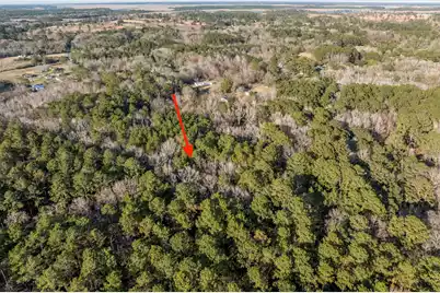 26 Swamprose Lane, Seabrook, SC 29940 - Photo 4