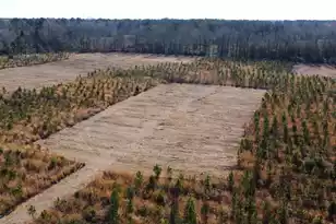 6 Hwy 6, Cross, SC 29436 - Photo 1