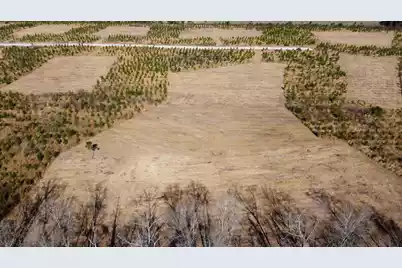 8 Hwy 6, Cross, SC 29436 - Photo 1