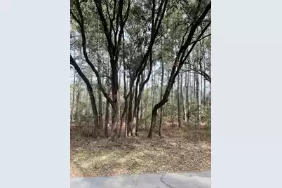 237 Founders Oak Way, Yemassee, SC 29945 - Photo 4