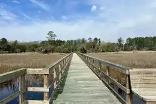 237 Founders Oak Wy, Yemassee, SC 29945 - Photo 8