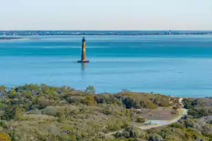 1699 Ashley Ave E, Folly Beach, SC 29439 - Photo 10