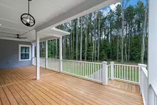 1329 Wood Sorrel Dr, Moncks Corner, SC 29461 - Photo 44