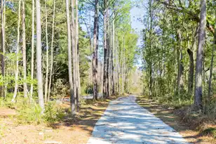 1602 John Fenwick Ln, Johns Island, SC 29455 - Photo 68