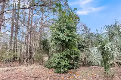 2224 Shoreline Drive, Johns Island, SC 29455 - Photo 50