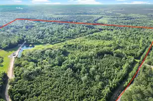 13959 Cottageville Hwy, Cottageville, SC 29435 - Photo 54