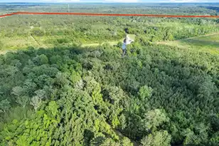 13959 Cottageville Hwy, Cottageville, SC 29435 - Photo 58