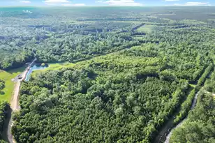 13959 Cottageville Hwy, Cottageville, SC 29435 - Photo 18