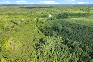 13959 Cottageville Hwy, Cottageville, SC 29435 - Photo 8