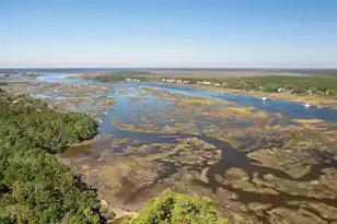 3893 Summerton St, Mount Pleasant, SC 29466 - Photo 48