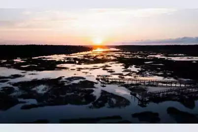 3893 Summerton Street, Mount Pleasant, SC 29466 - Photo 44