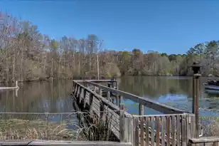 273 Belvedere Dr, Eutawville, SC 29048 - Photo 36